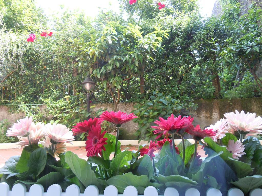 Certe Notti - Suites بومبيي المظهر الخارجي الصورة